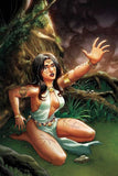 Cimmerian Iron Shadows In Moon #2  30 Copy Casas Virgin Incv