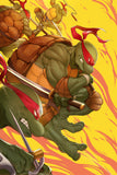 TMNT #1 Mirage Facsimile Edition | Teenage Mutant Ninja Turtles