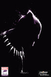 Black Panther #25 Gleason Stormbreakers Var